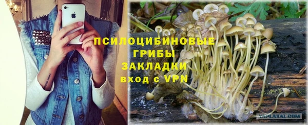 mdpv Балахна