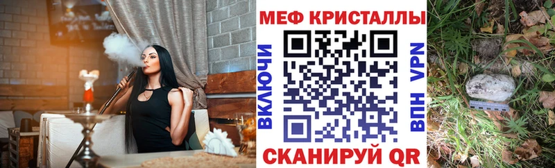 закладки  Лыткарино  МЯУ-МЯУ мяу мяу 
